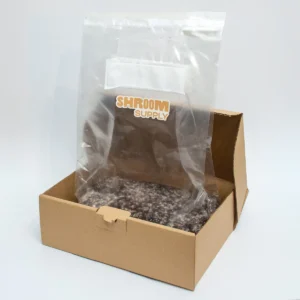 JMF jedi mind fuck growkit shroomsupply psilocybe cubensis