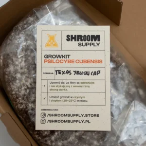 TYC texas yellow cap growkit shroomsupply psilocybe cubensis etykieta