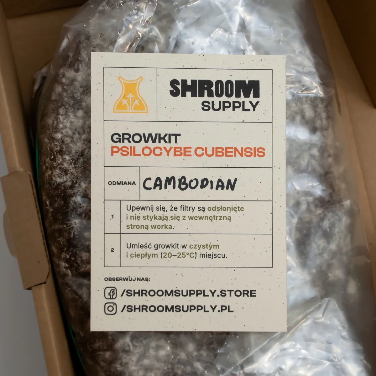 cambodian growkit shroomsupply psilocybe cubensis etykieta