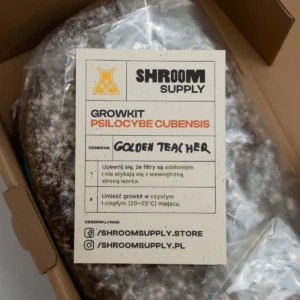 golden teacher growkit shroomsupply psilocybe cubensis etykieta golden teacher growkit shroomsupply psilocybe cubensis etykieta