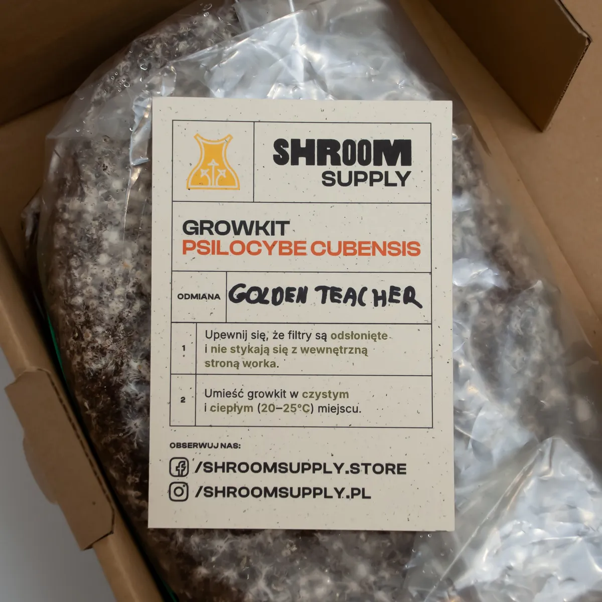 golden teacher growkit shroomsupply psilocybe cubensis etykieta golden teacher growkit shroomsupply psilocybe cubensis etykieta