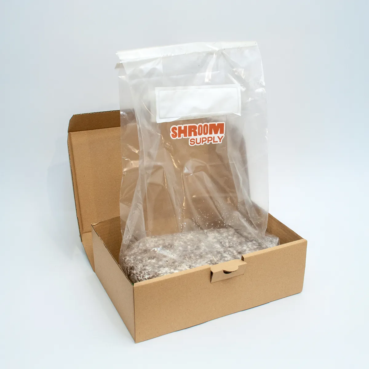 hillbilly pumpkin growkit shroomsupply psilocybe cubensis