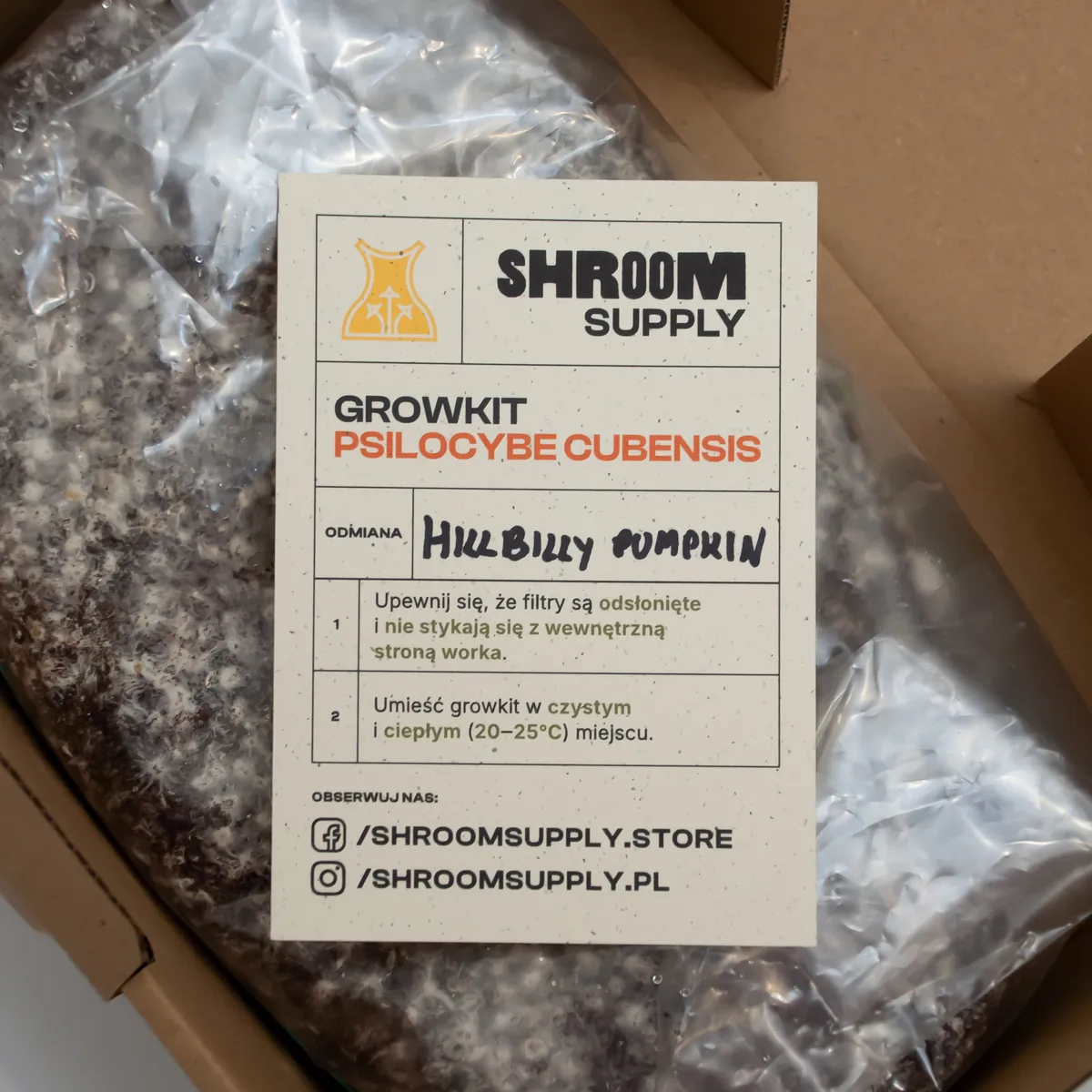 hillbilly pumpkin growkit shroomsupply psilocybe cubensis etykieta