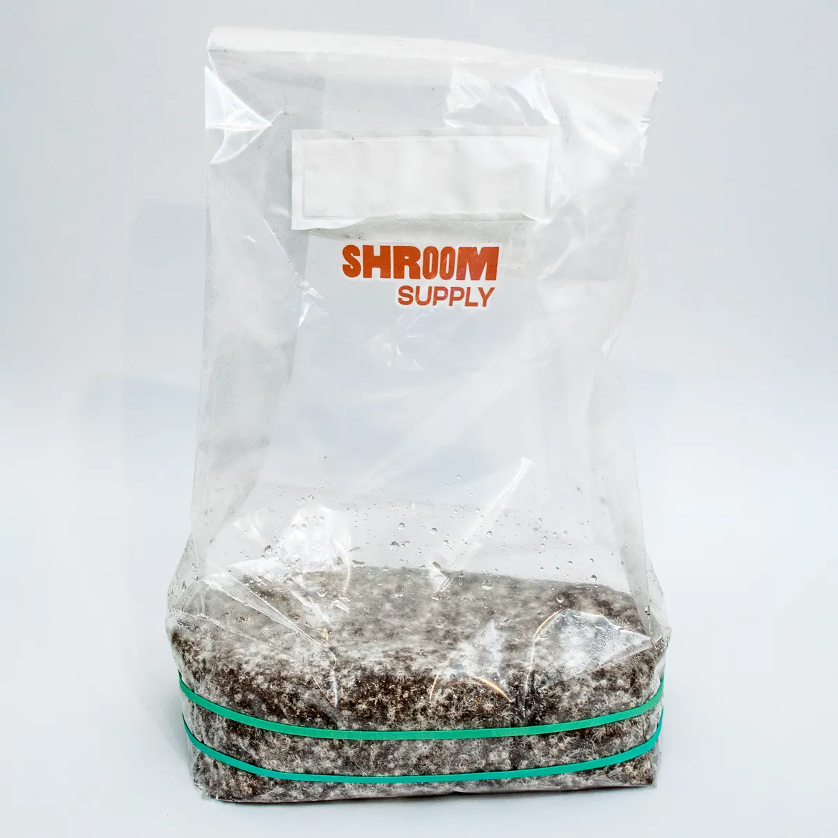 hillbilly pumpkin growkit shroomsupply psilocybe cubensis