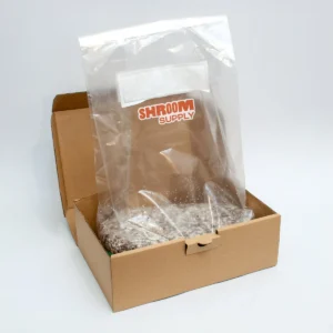 jack rabbit growkit shroomsupply psilocybe cubensis 2 jack rabbit growkit shroomsupply psilocybe cubensis