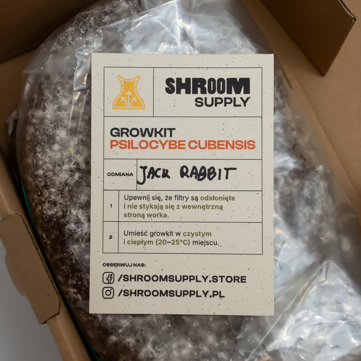 jack rabbit growkit shroomsupply psilocybe cubensis etykieta jack rabbit growkit shroomsupply psilocybe cubensis etykieta