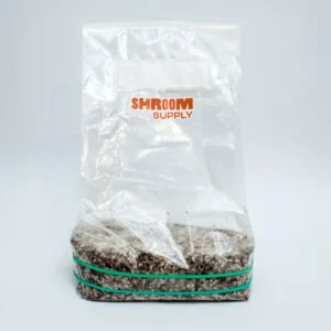 mazatapec growkit shroomsupply psilocybe cubensis