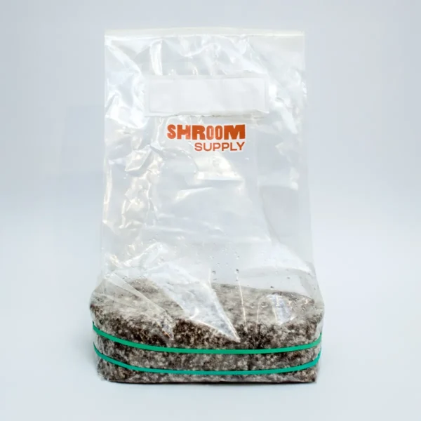 mazatapec growkit shroomsupply psilocybe cubensis