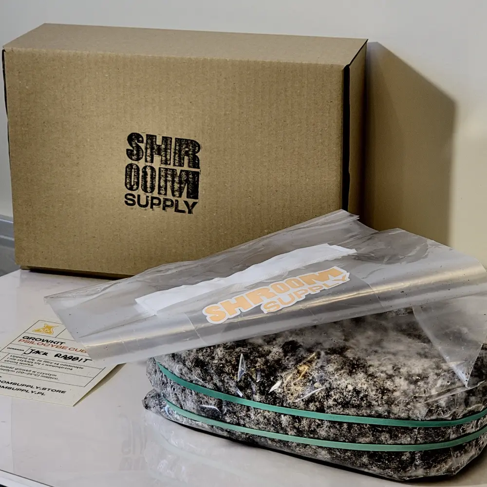 Unboxing Growkita Golden Teacher