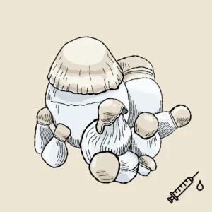 Albino Bluey Vuitton płynne kultury liquid culture