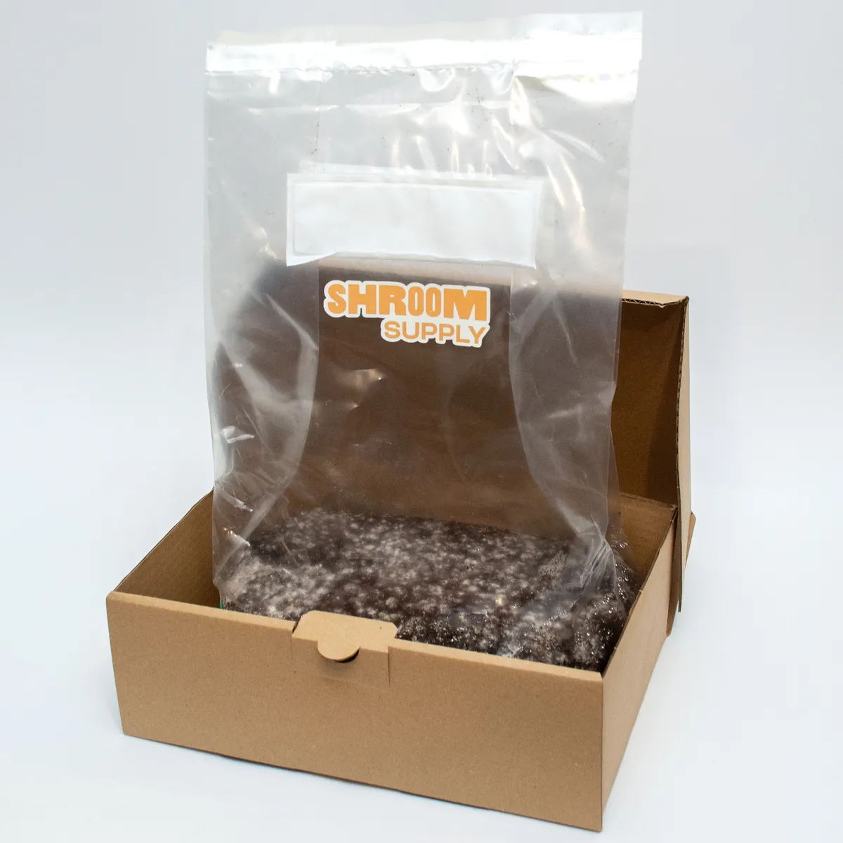 enigma growkit shroomsupply psilocybe cubensis 2