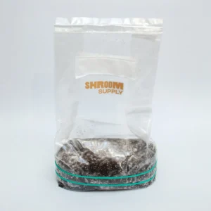 enigma growkit shroomsupply psilocybe cubensis1