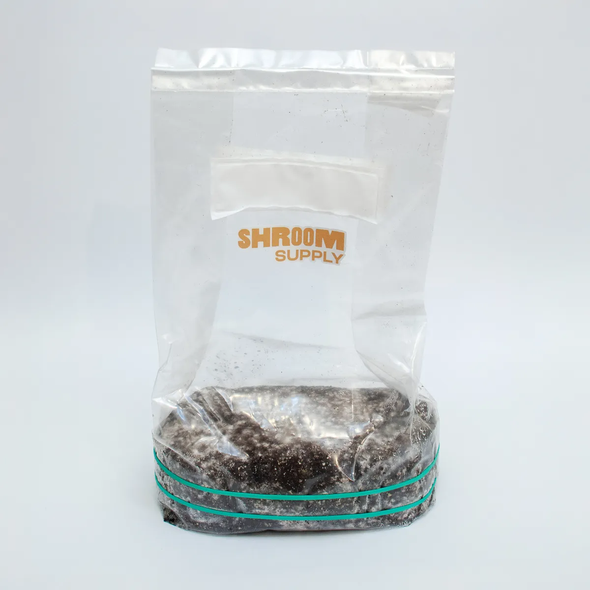 enigma growkit shroomsupply psilocybe cubensis1