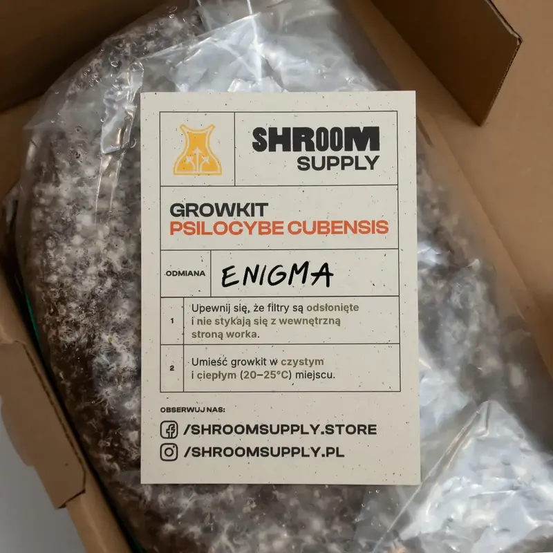 etykieta-enigma-growkit