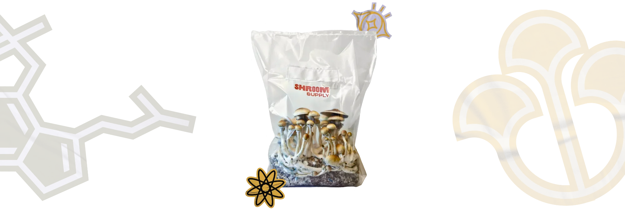 shroomsupply home growkit