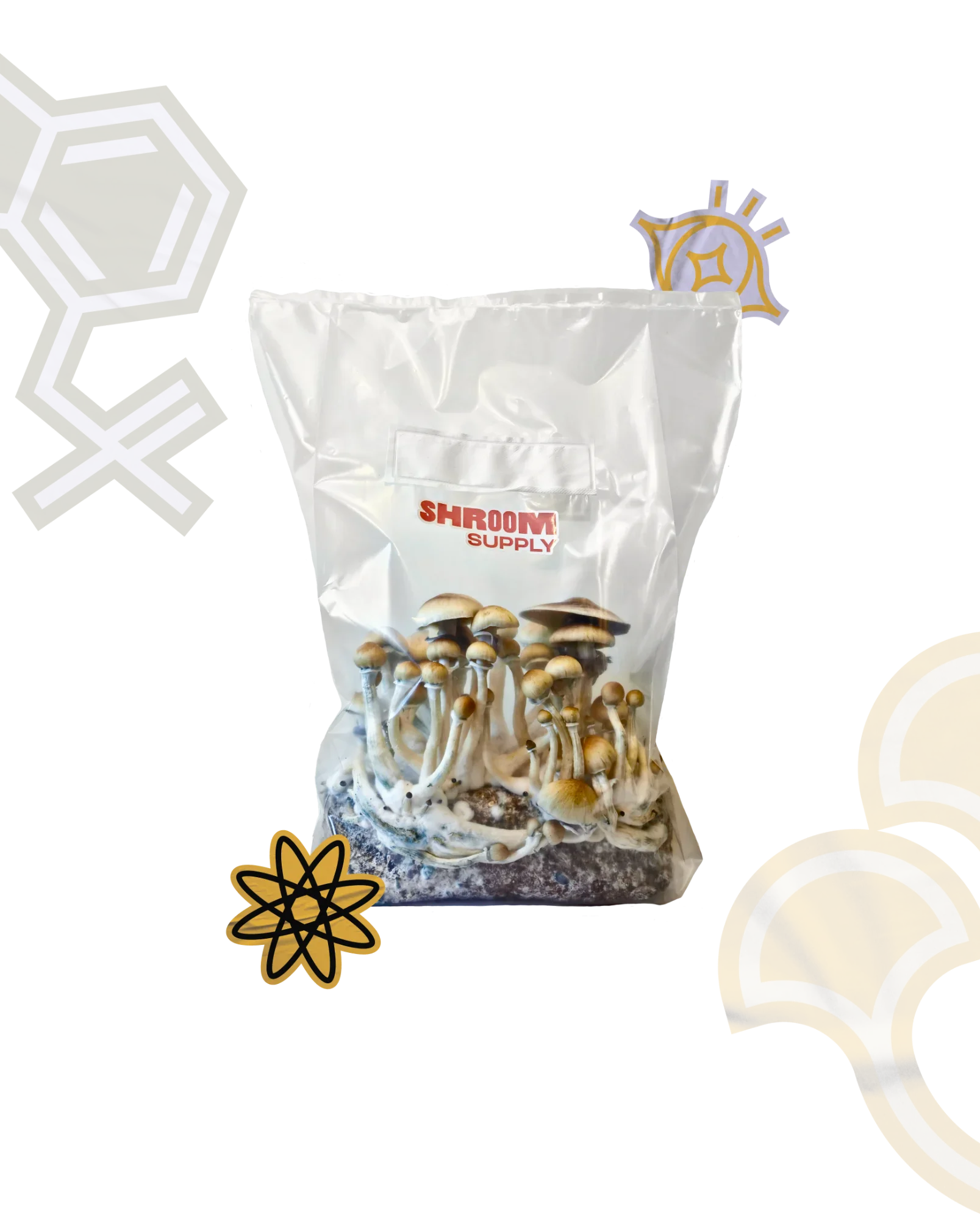 shroomsupply home growkit